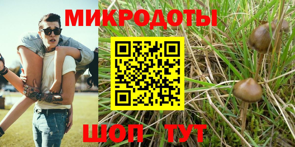 Псилоцибиновые грибы GOLDEN TEACHER Черняховск