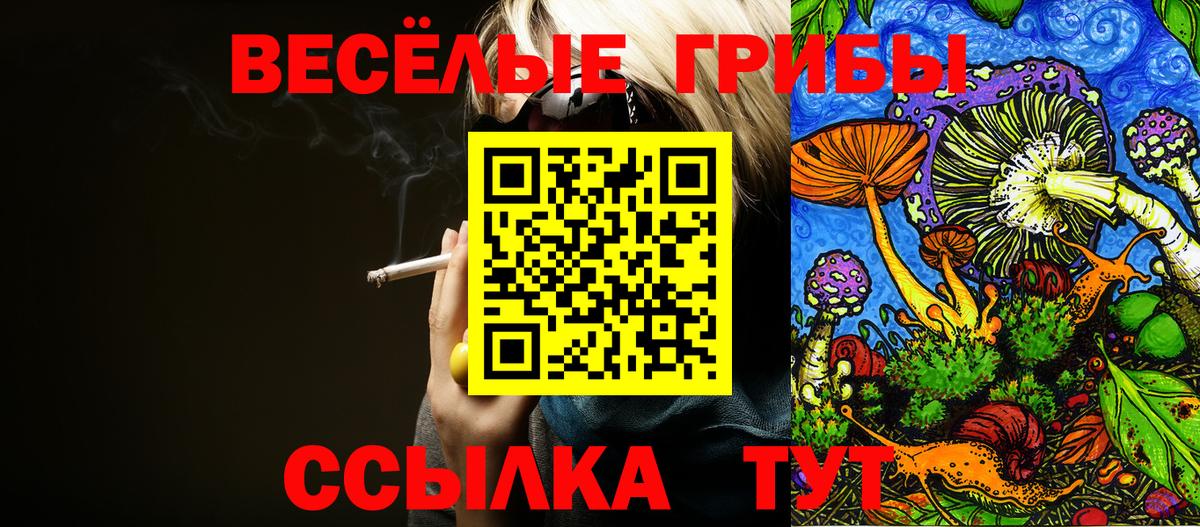 Черняховск  даркнет сайт  Вход с VPN  Галлюциногенные грибы Psilocybine cubensis  Псилоцибиновые грибы прущие грибы 