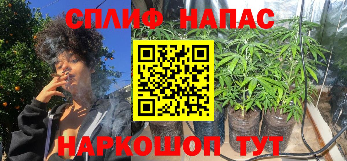 Канабис OG Kush Черняховск